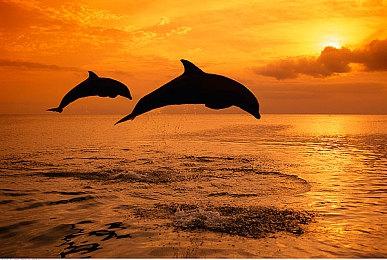 索尼云串流掌机正式公布：PlayStation Portal、199.99美元